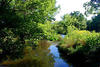 Stream through Kline Creek Farm